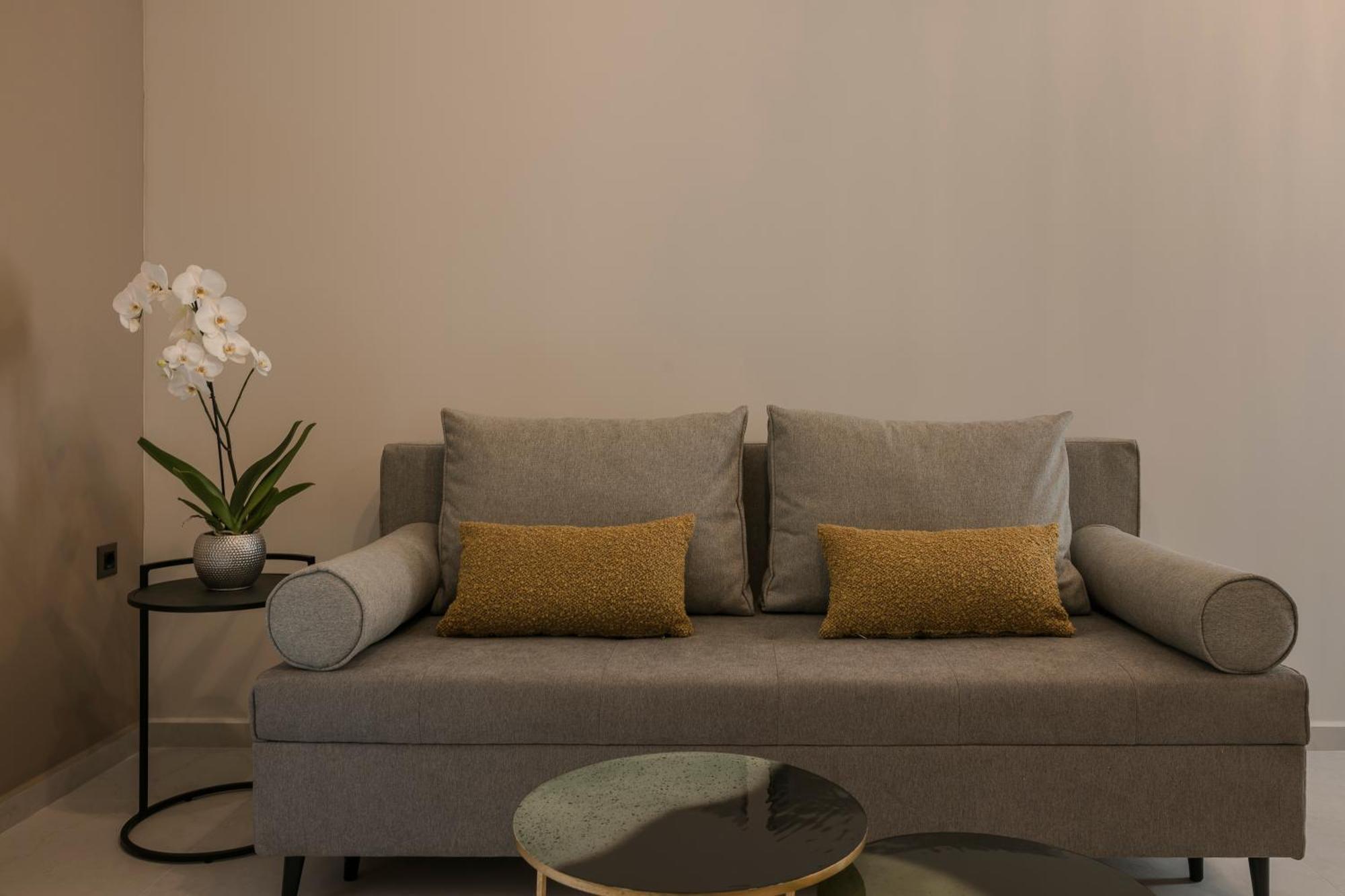 Anthemis Living Aparthotel Argostoli  Rum bild